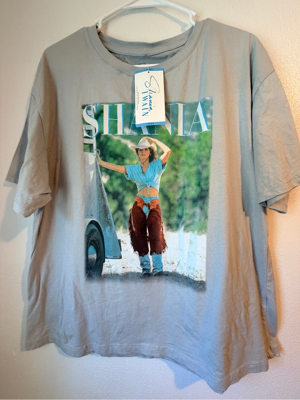 Shania Twain Graphic Tee in Light Gray